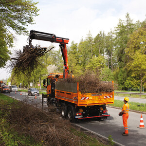 Staatliche Organisationen – Städte & Gemeinden