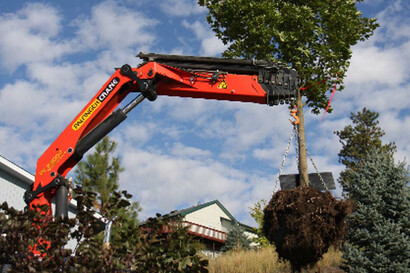Landscaping and Tree Service