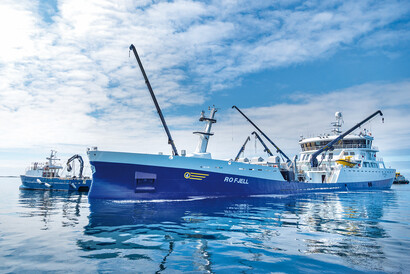 Telescopic boom cranes - Marine