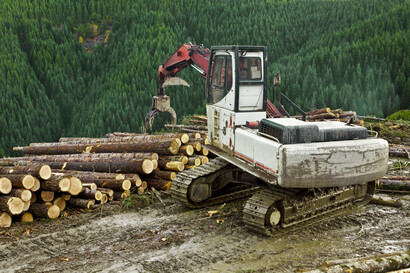 Timber Industry