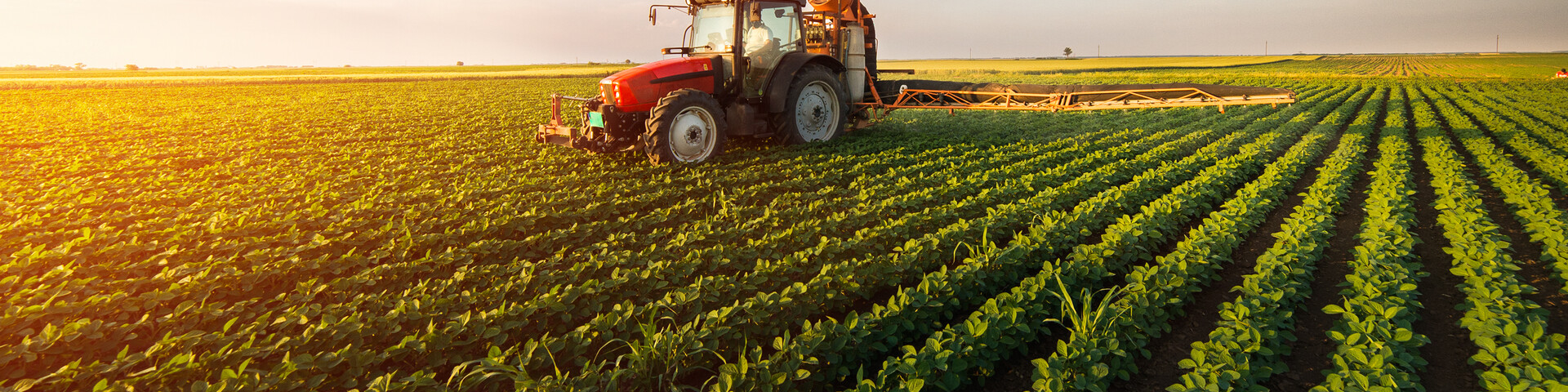 Agriculture