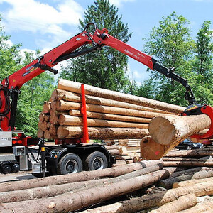 PALFINGER India  Epsilon