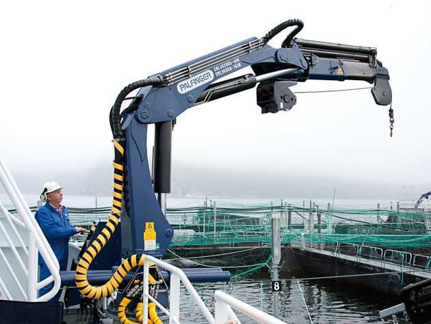 Adulthood of PALFINGER MARINE