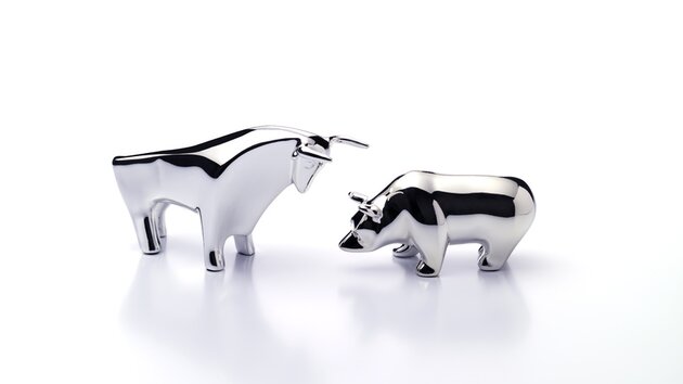 Bull and bear
