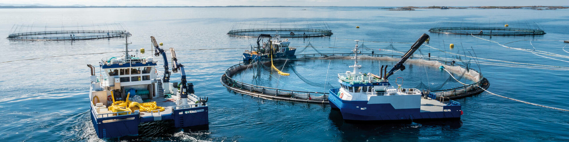 PALFINGER MARINE Segments - Aquaculture