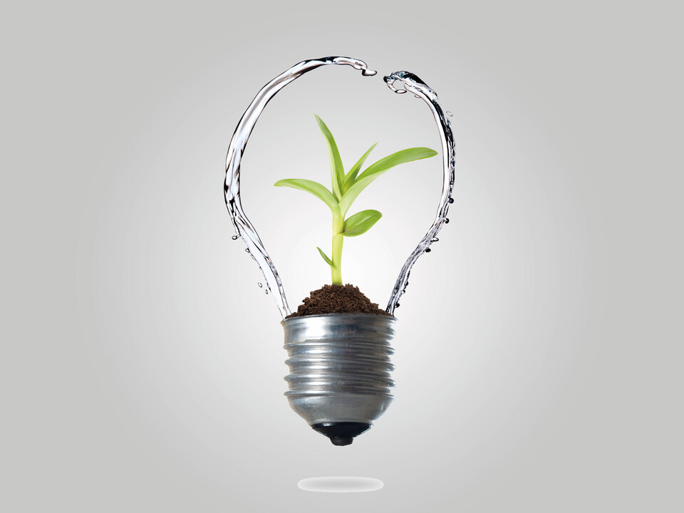 PALFINGER Training and Management Developement