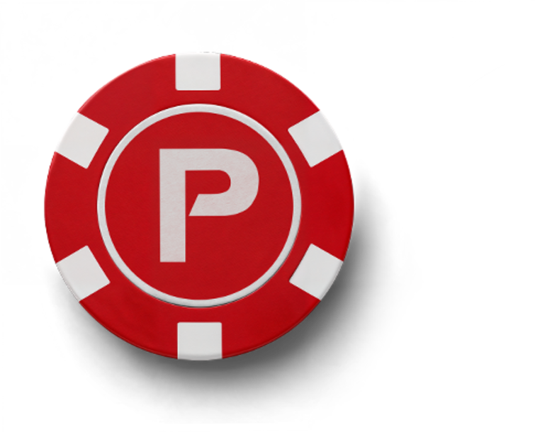 palfinger poker chip