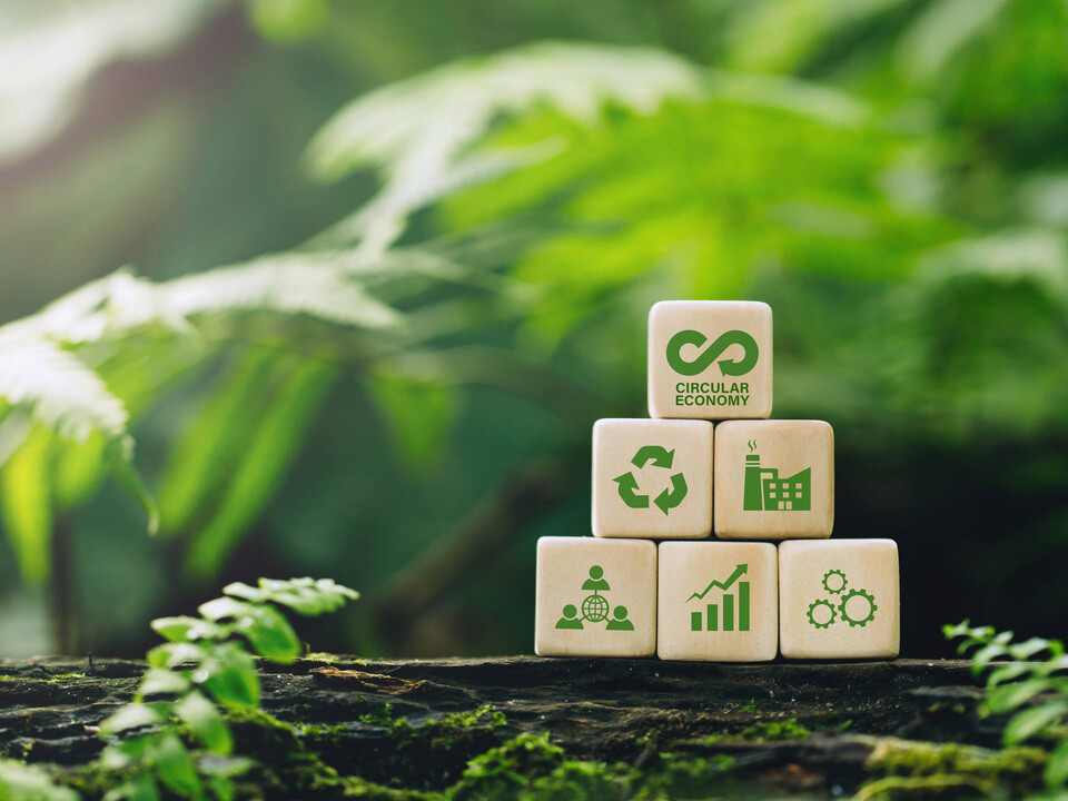You can see five wooden cubes representing the theme of sustainability. Green leaves in the background.